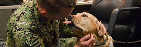 Image of Navy service member with dog